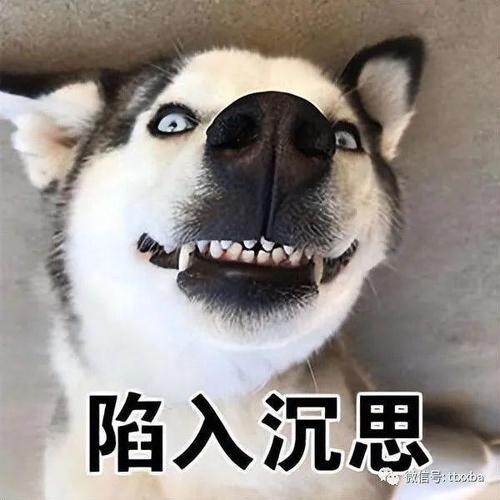 空心菜没心不懂爱i