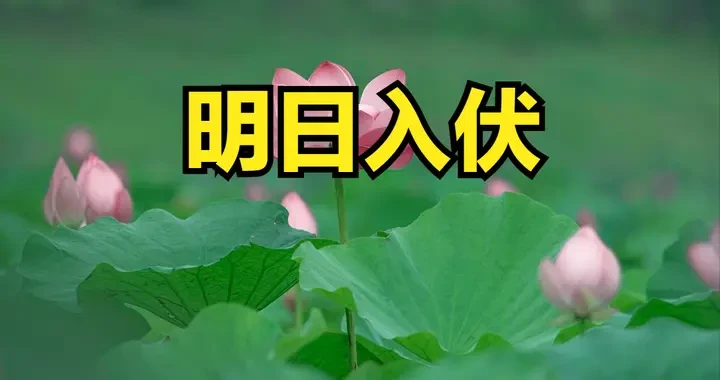 8b0ce220e64d49da8cd3760f57a6c519.webp