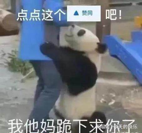 金牌萌女帝