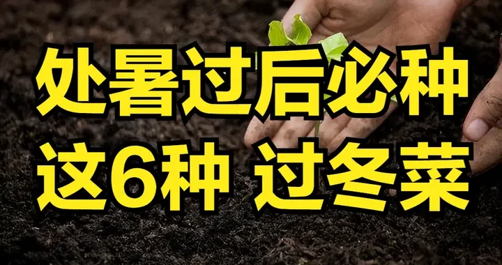5fdbf2e138b44d82a2e7e573c5c22524.webp