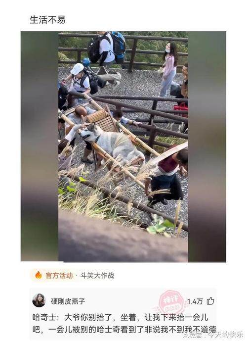 SUHO银河i