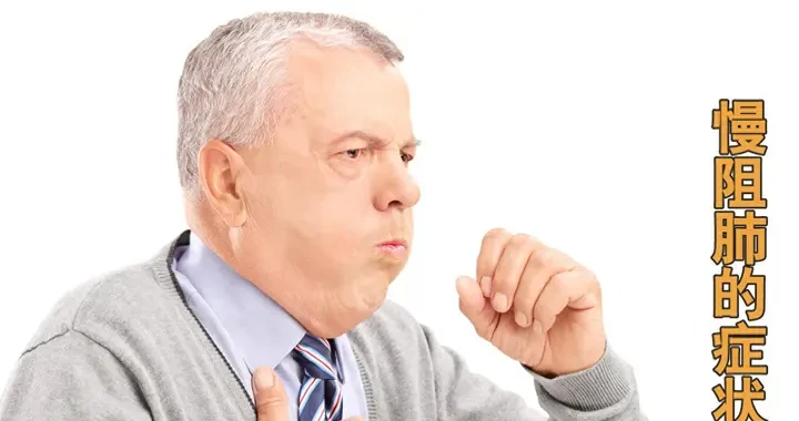 27fd1d3d24c7455d8d032d571d5404e6.webp