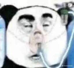 我曾听见地老天荒