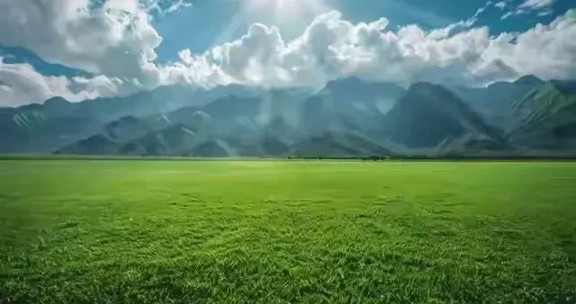 9698f8b409df467b9654ac2ec80ea6aa.webp