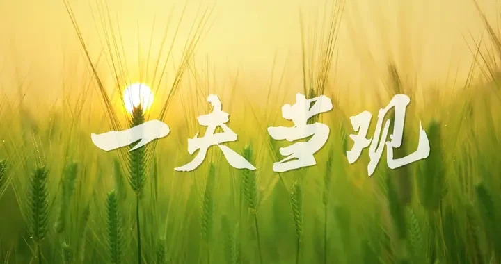 b460838adc6d47e38f83199edaf122b1.webp
