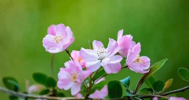 8c9c83abd9334847b268f2ce4a4af779.webp