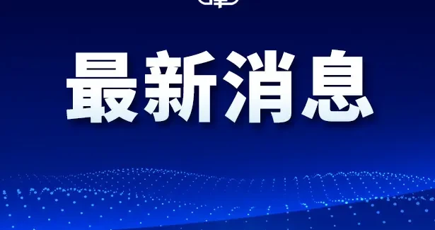 98af29063de043be8fbf6d64f60169ef.webp