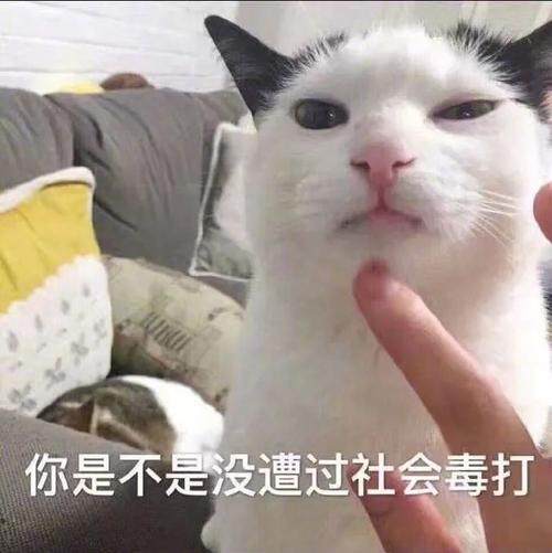 ゜ eVer ㄨ