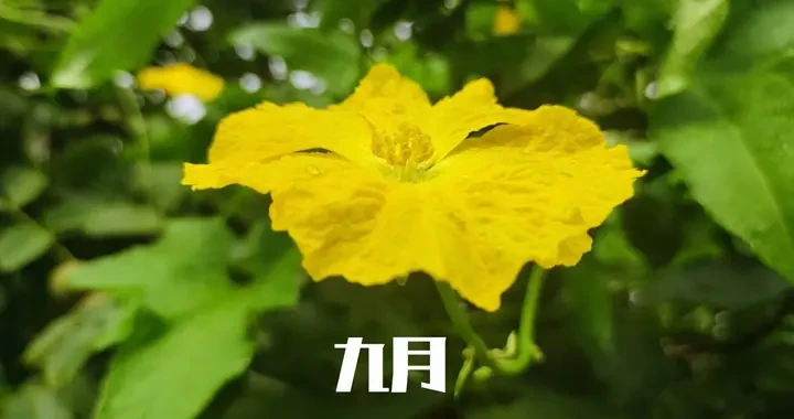 a9654d68fdf04f21a15187af5169d032.webp