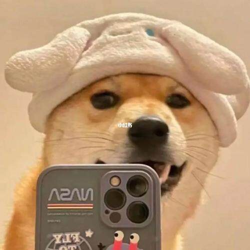 爱我你会发光。