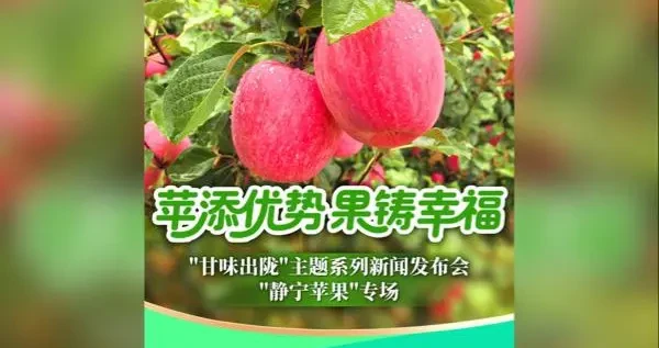 35a4e16f2c994b6cb16fa690f609cc60.webp