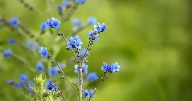 e265ab956e15450c860ac2ba01a0bfe6.webp