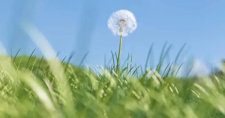 3b669137d70d4e06b2c895696e95a1c7.webp
