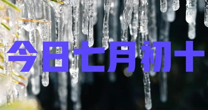 efc173af60354211aa66150d613e2cbe.webp