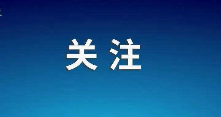 1e0f946c1bc8487c98d4475e7a60d788.webp