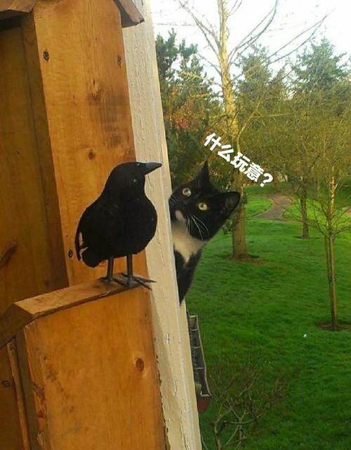 因为你丶守候记忆