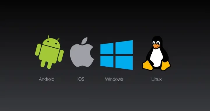 1c0fe146e38c410d928b2b45b48c3ee7.webp