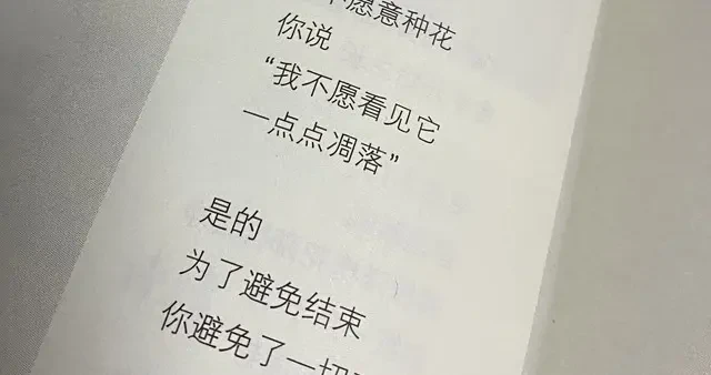 ed2fc6a0b13b4a1eb195faf44780943d.webp