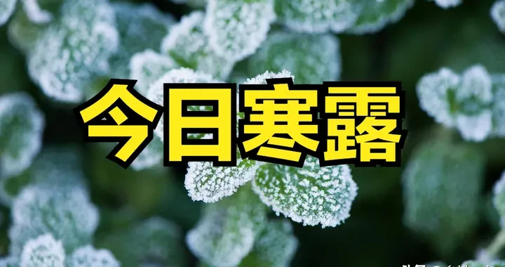 6b9751e5e768423298bf93283c7fe937.webp
