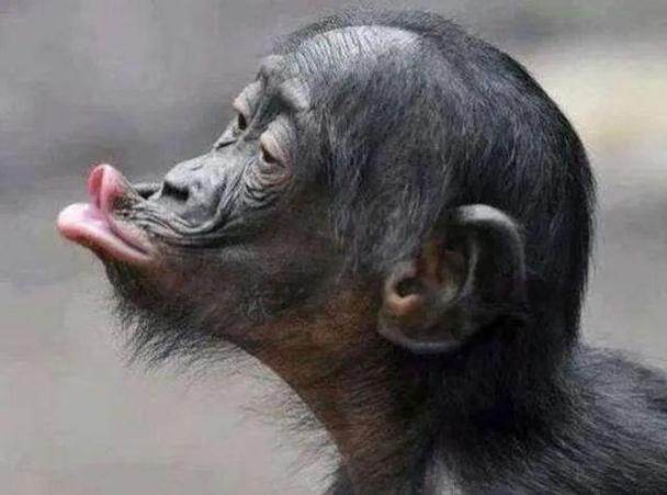 Punkゞ家族 不知不觉。￡