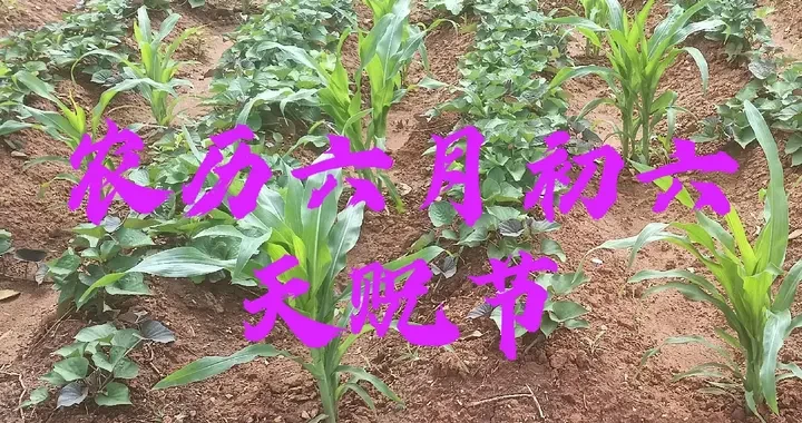 123445de0c4d42c1a7e0fd20bddaf854.webp