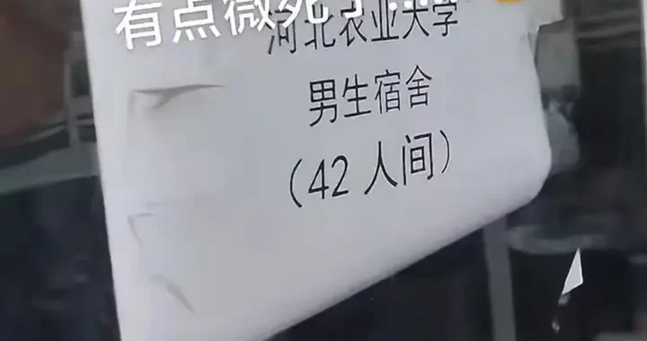 175cf4d797bd4d5e881275d3386bd03c.webp
