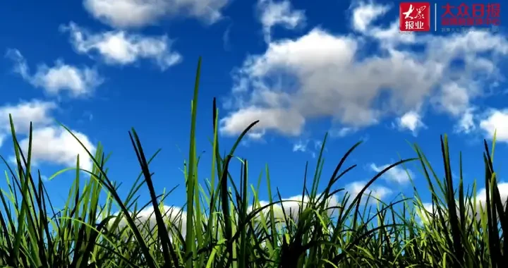 ad207ea3365b4256ba10ee9ab90e5c33.webp