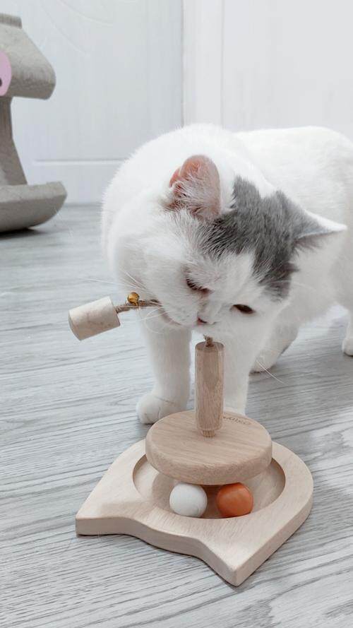 萅哥護軆℡~