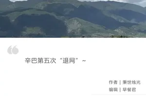 27e24b648db845e5b92a9ff48c7ec2f2.webp
