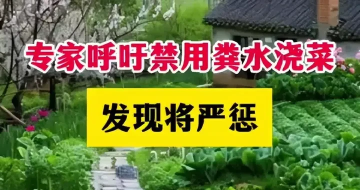 3f209ddc01dd4bbca84ce346dd02fb66.webp