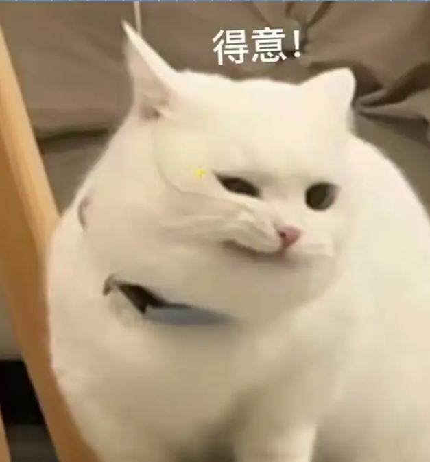 爱新觉罗。痛经