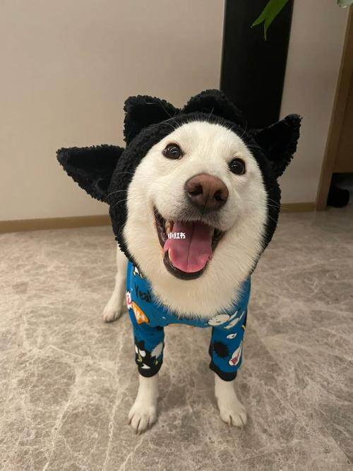 看懂人心;