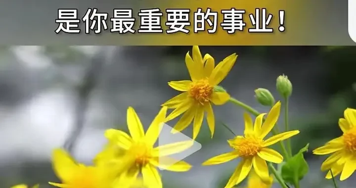 627d8b8622e14210b81863824bae7359.webp
