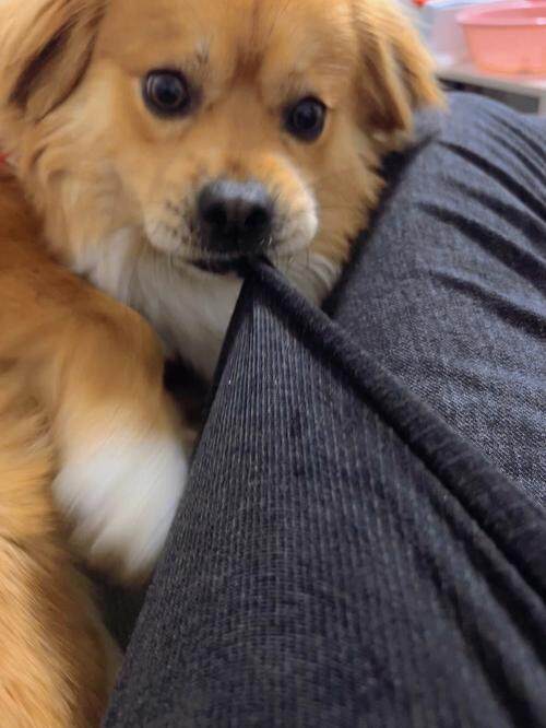 灯火阑珊