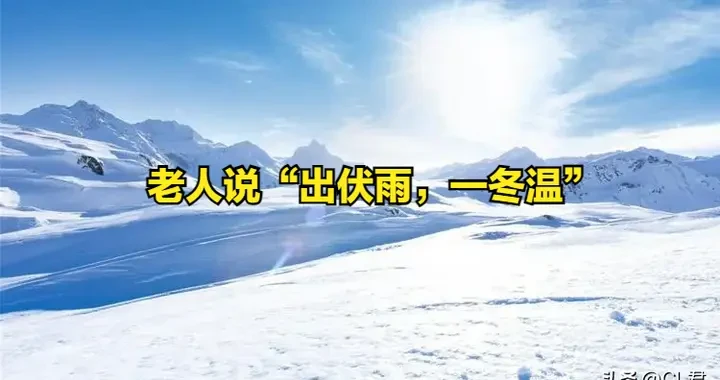 8878197718694258b0c67cd7e50aaa42.webp
