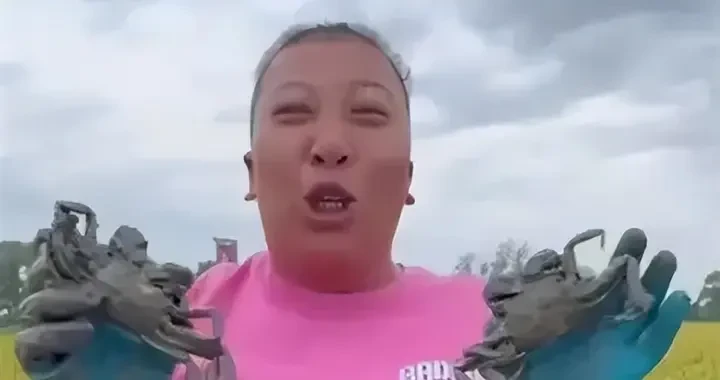 8987e786a3c1441ea4c6e0a04040817a.webp