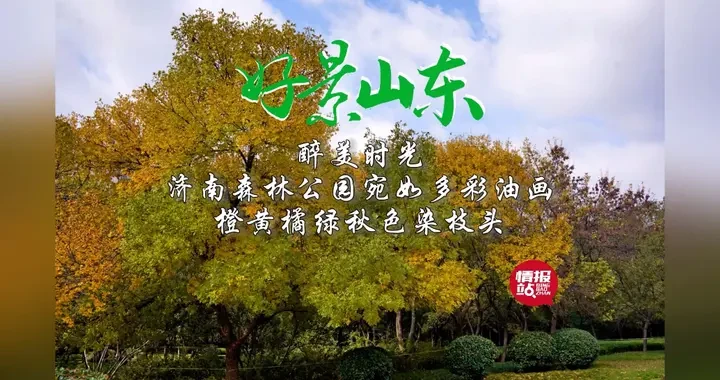 1ec9c592f6cf43abb1f288619df078e9.webp
