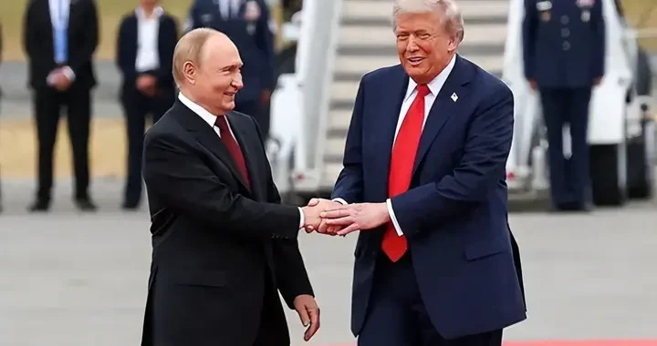 c3e655ccdc77438c8a80e11c787b1664.webp