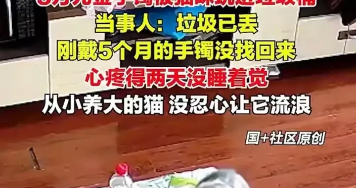 f7416bc0841e4e518ad94055c00954d7.webp