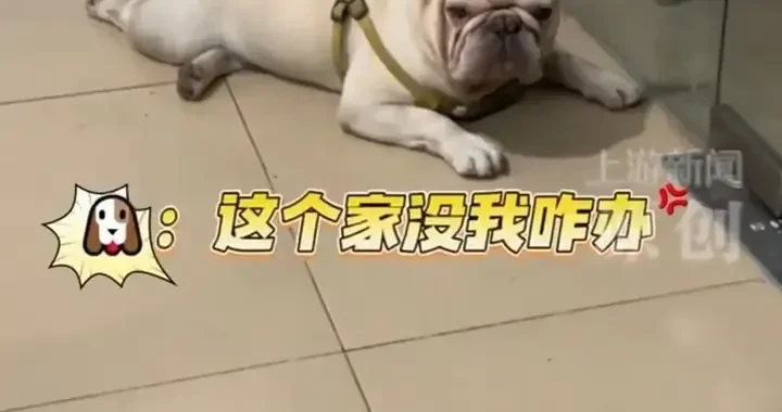 b3d90d045b6242d4a64d7ae98843a926.webp