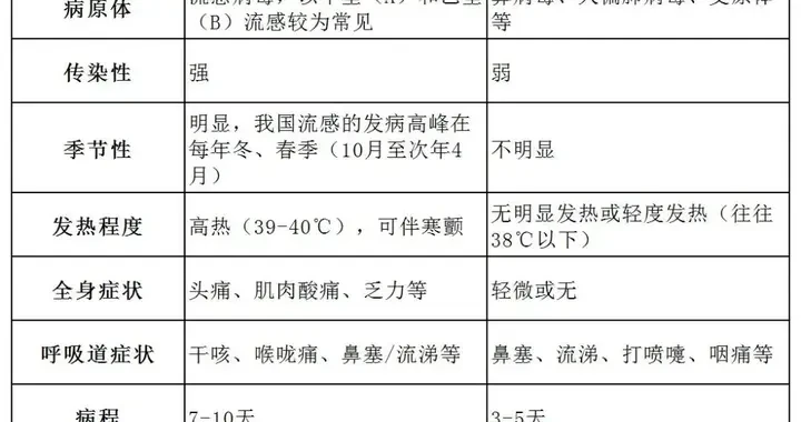 5bfc95a8eb28421e94295e37f571e62d.webp