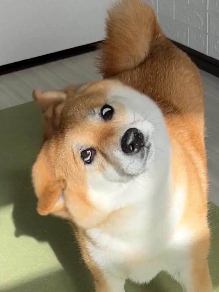 我是好孩子、