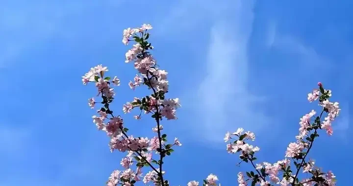 26698e0db54e4e69bd76497ef742a1ec.webp