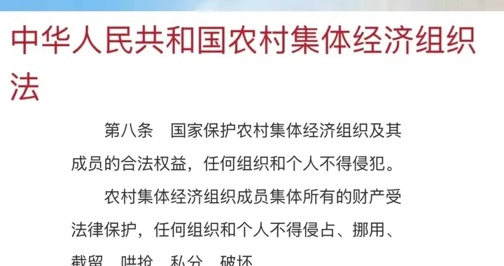 fcc12748235f40a88976a0ac344acfa9.webp