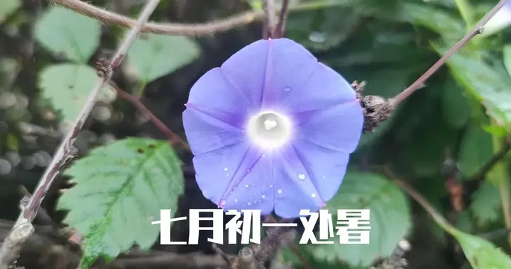 aaf7f77b19824cf6b304cf6b0abcbdbb.webp