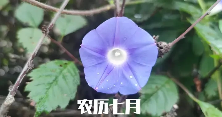929f782f2e0d44818a9cfe43509d4cd4.webp