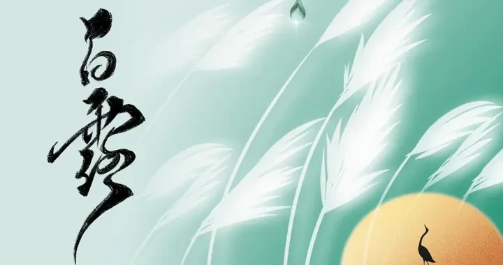 a3aa2bf27690437689c8dfb64e028be2.webp