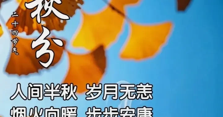 7b74b8413e9f41a2a5c0a96a24ce6f35.webp
