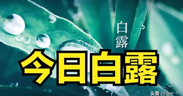 4ec03c4ae2994e6d9dbcf988731f466a.webp