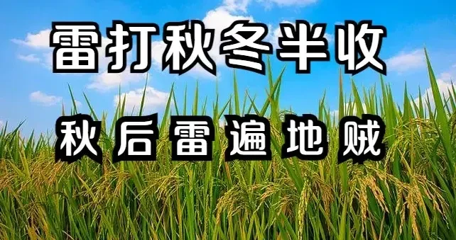 793f8fb2f8e048c69c375fb99500d288.webp